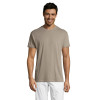 Men's light grey Regent shirt