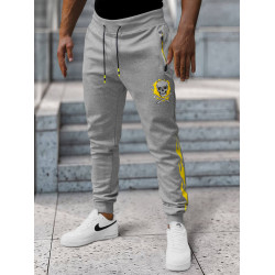 Vyriškos pilkos laisvalaikio kelnės Džo