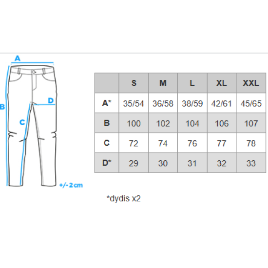 Vyriškos pilkos spalvos laisvalaikio kelnės Olin V1 OM-PASK-0258