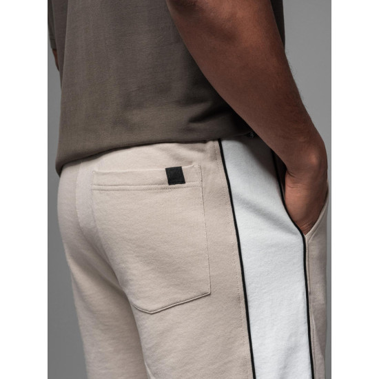 Men's brown shorts Edman V2 OM-SRSK-0182 - Shorts | Bridges Men's brown shorts Edman V2 OM-SRSK-0182