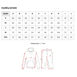 Vyriškas žalias sportinio kostiumo komplektas Design Vyriškas žalias sportinio kostiumo komplektas Design