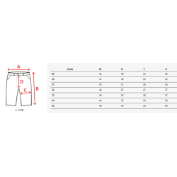 Vyriški tamsiai pilkos spalvos šortai Gam