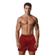 Men's burgundy shorts Vidi