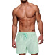Men's mint shorts Flesy SX2465 - Shorts | Bridges Men's mint shorts Flesy SX2465