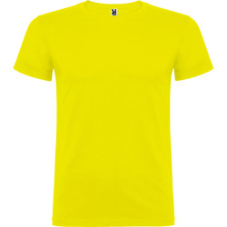 Vyriški geltonos spalvos marškinėliai Beagle