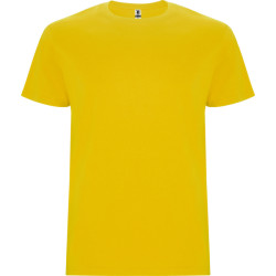 Vyriški geltonos spalvos marškinėliai Stafford