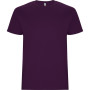 Men's purple shirt Stafford
