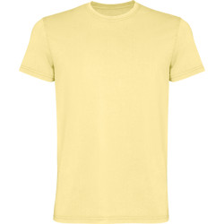 Vyriški geltonos spalvos marškinėliai Corgi