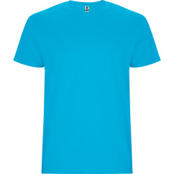 Vyriški žydros spalvos marškinėliai Stafford