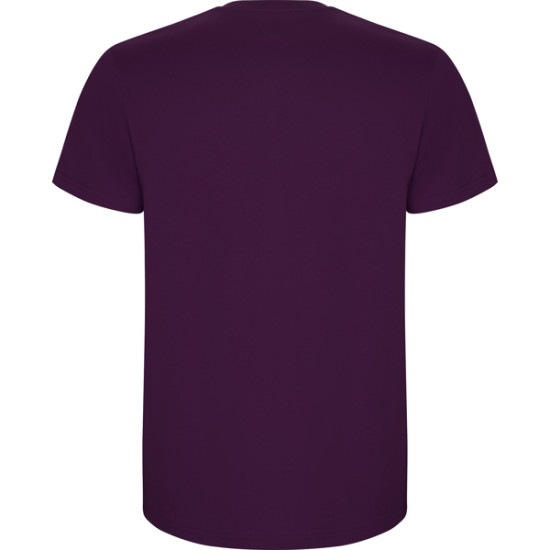 Vyriški violetinės spalvos marškinėliai Stafford STAFFORD - Apranga reklamai Vyriški violetinės spalvos marškinėliai Stafford Marškinėliai | Polo Roly