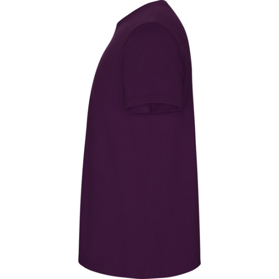 Vyriški violetinės spalvos marškinėliai Stafford STAFFORD - Apranga reklamai Vyriški violetinės spalvos marškinėliai Stafford Marškinėliai | Polo Roly