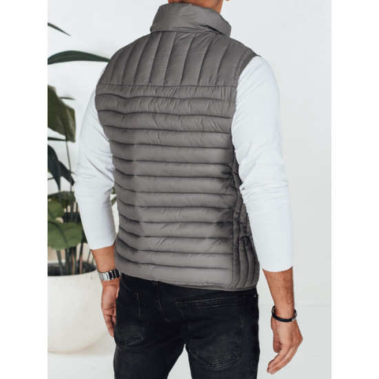 Vīriešu pelēka veste Pole Vestes