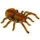 Nuotoliniu būdu valdomas infraraudonųjų spindulių voras Tarantula Brown R/C Radijo bangomis valdomi žaislai
