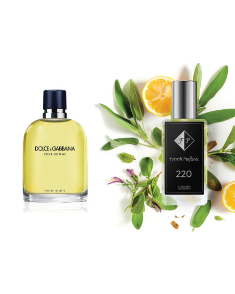 Nr220 kvepalai įkvėpti Dolce & Gabbana - Pour Homme 33 ml