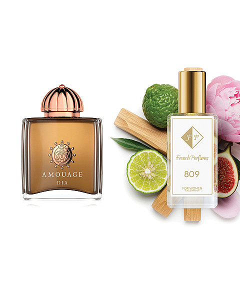 Nr809 kvepalai įkvėpti Amouage Dia Pour Femme 60 ml