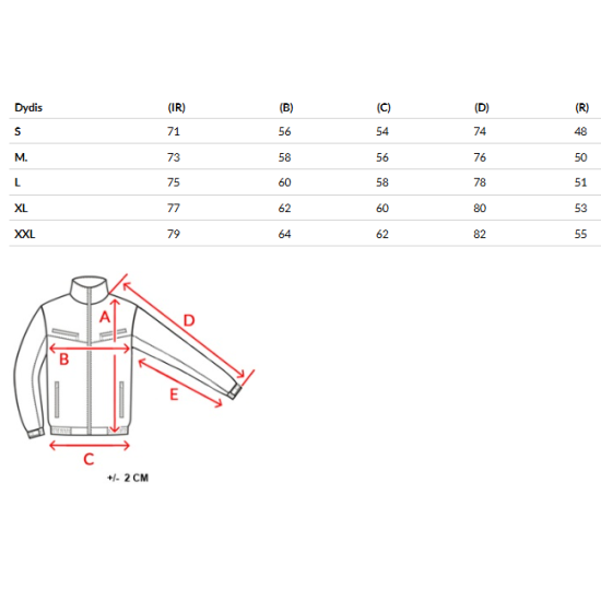 Vyriška tamsiai pilka žieminė striukė Ross