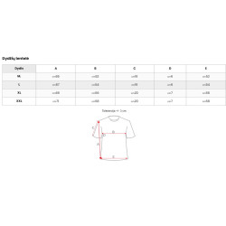 Vyriški pilki/juodi marškinėliai Billy