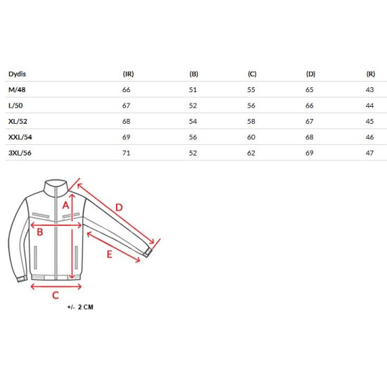 Vyriška pilka striukė Coper
