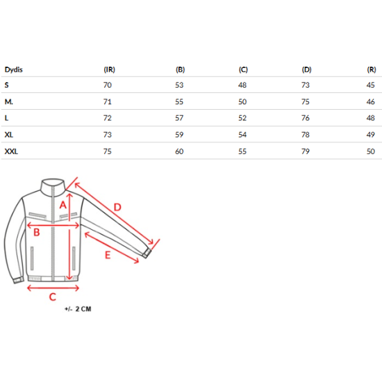 Vyriška pilka žieminė striukė Jupiter