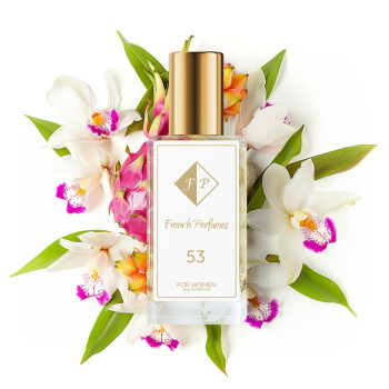 Nr 53 Perfumy inspirowane Beyonce - Heat 60 ml