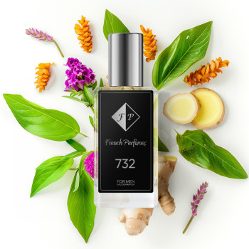 No732 perfume inspired by Calvin Klein - CK Everyone ( UNISEX ) 60 ml