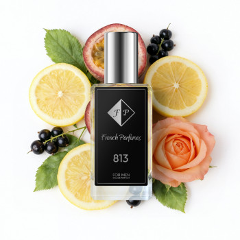 Nr813 perfume inspired by Tiziana Terenzi - Halley (Unisex) 60 ml