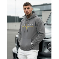 Vyriškas pilkas džemperis Victory