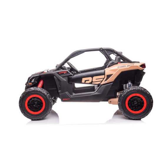 Elektrinis bagis Can-am RS DK-CA001 Automobiliai
