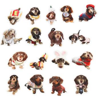 Spaniel tarrasarja 50 kpl.