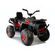 Raudonas elektrinis keturratis XMX607