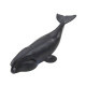 Jūrų žinduolių figūrėlių rinkinys 6-8cm 6vnt 23295 - Žaislai Jūrų žinduolių figūrėlių rinkinys 6-8cm 6vnt Gyvūnų figurėlės