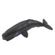 Jūrų žinduolių figūrėlių rinkinys 6-8cm 6vnt 23295 - Žaislai Jūrų žinduolių figūrėlių rinkinys 6-8cm 6vnt Gyvūnų figurėlės