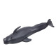 Jūrų žinduolių figūrėlių rinkinys 6-8cm 6vnt 23295 - Žaislai Jūrų žinduolių figūrėlių rinkinys 6-8cm 6vnt Gyvūnų figurėlės