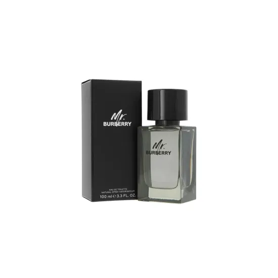 Burberry Mr. Burberry Edt 100ml Tualetinis vanduo (EDT) Burberry