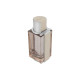 Salvatore Ferragamo Ferragamo Bright Leather Edt 100ml Tualetinis vanduo (EDT) Salvatore Ferragamo