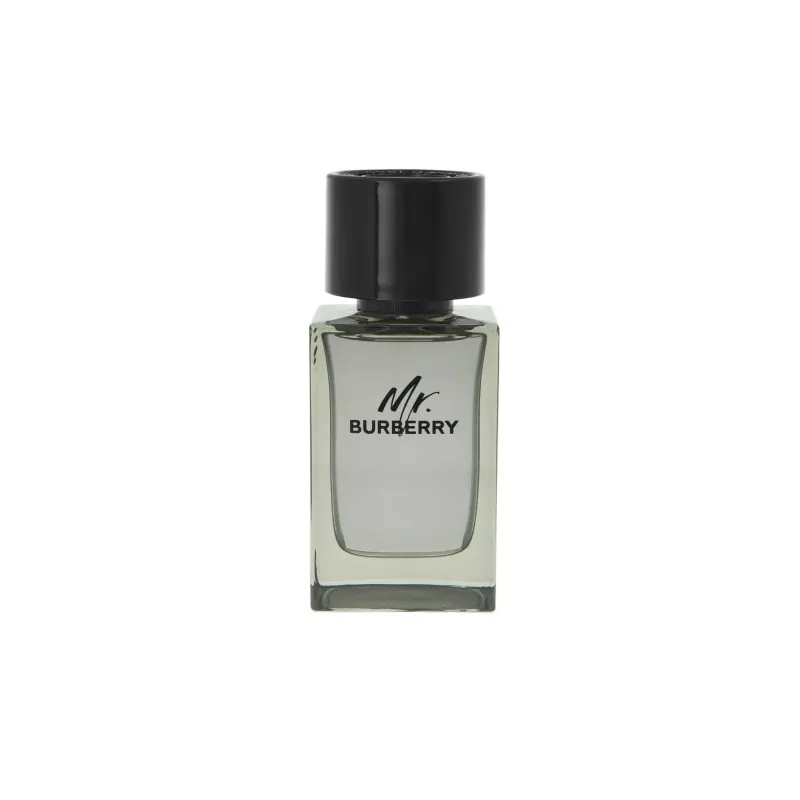 Burberry Mr. Burberry Edt 100ml Eau de Toilette (EDT) Burberry