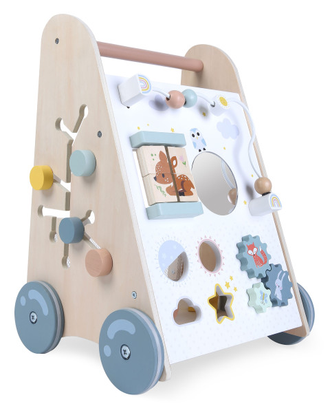 Medinė vaikštynė su stumimo rankena ECOTOYS