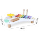Stalas su muzikos instrumentais: cimbolai +18 m Muzikos instrumentai ECOTOYS