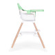 Vaikų maitinimo kėdutė 2-in-1 žalia ECOTOYS