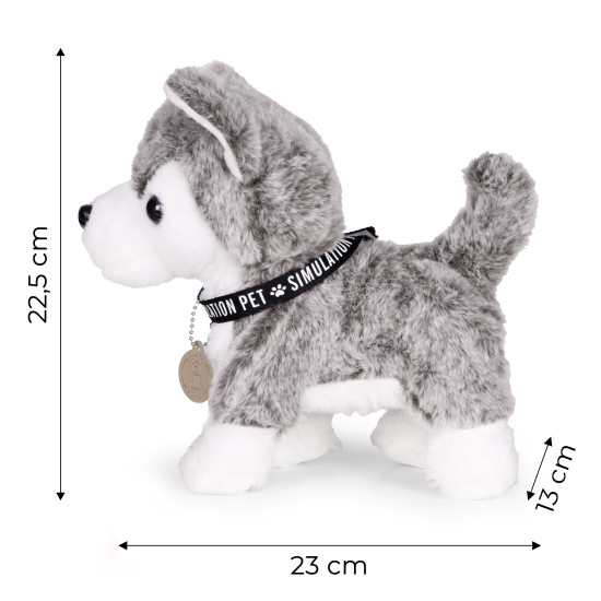 Interaktyvus šuniukas Lavinamieji MULTISTORE