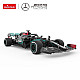 Nuotoliniu būdu valdomas automobilis Mercedes-AMG F1 W11 EQ Performance