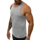 Men's sleeveless gray T-shirt Romul JS/99002