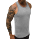 Men's sleeveless gray T-shirt Romul JS/99002