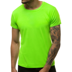 Vyriški marškinėliai šviesiai žalios spalvos Loget