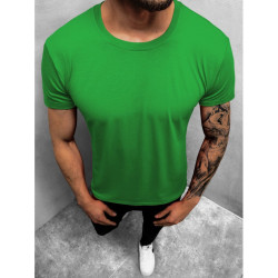 Zaļš vīriešu T-krekls Lika