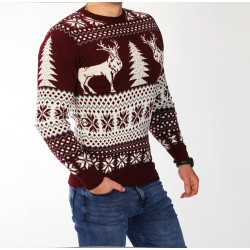 Vyriškas bordo megztinis Elk