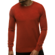 Men's dark brown sweater Entoni