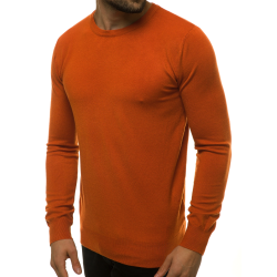 Akcija Vyriškas rudos spalvos megztinis Entoni