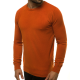 Men's brown sweater Entoni