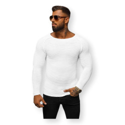 Vyriškas baltas megztinis Terel